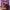 Blair-Kelly-Headshot-aspect-ratio-750-750