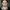 Adrian-Look-aspect-ratio-750-750