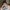 Niamh-Morrin-aspect-ratio-750-750 Niamh Morrin